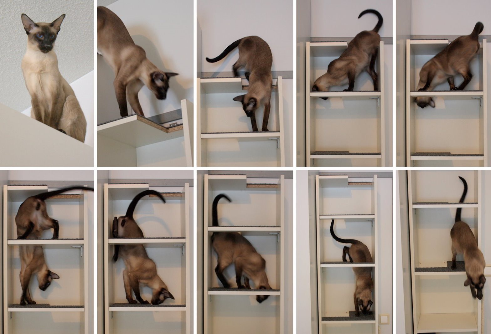 cliomakeup-ikea-hackers-6-billy-gatti
