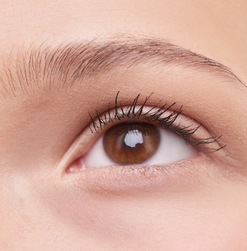 cliomakeup-primer-mascara-2020-teamclio-mascara-3