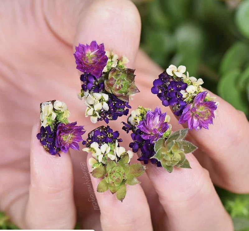 cliomakeup-manicure-brutte-9-fiori