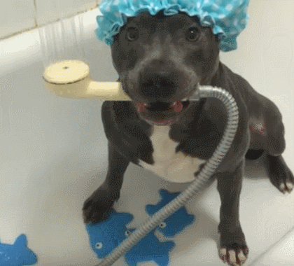 cliomakeup-scrub-corpo-2020-26-gif-finale