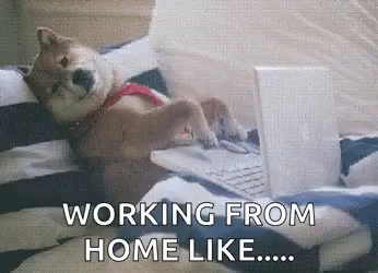 cliomakeup-smart-working-3-cane