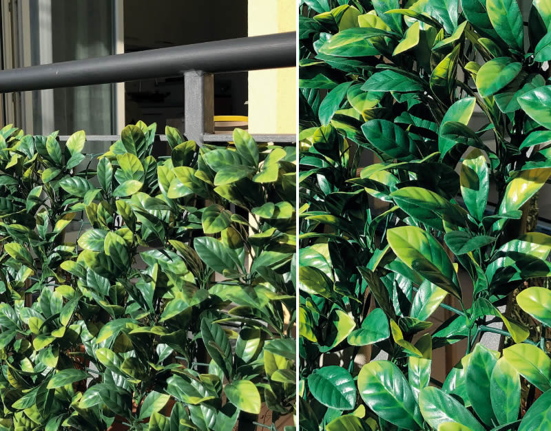 cliomakeup-come-arredare-balcone-21-siepe