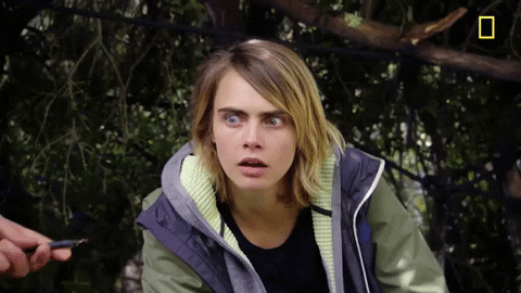 cliomakeup-divorzi-vip-2020-teamclio-delevingne