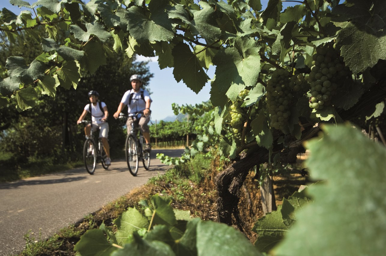 cliomakeup-viaggio-trentino-2-trentodoc