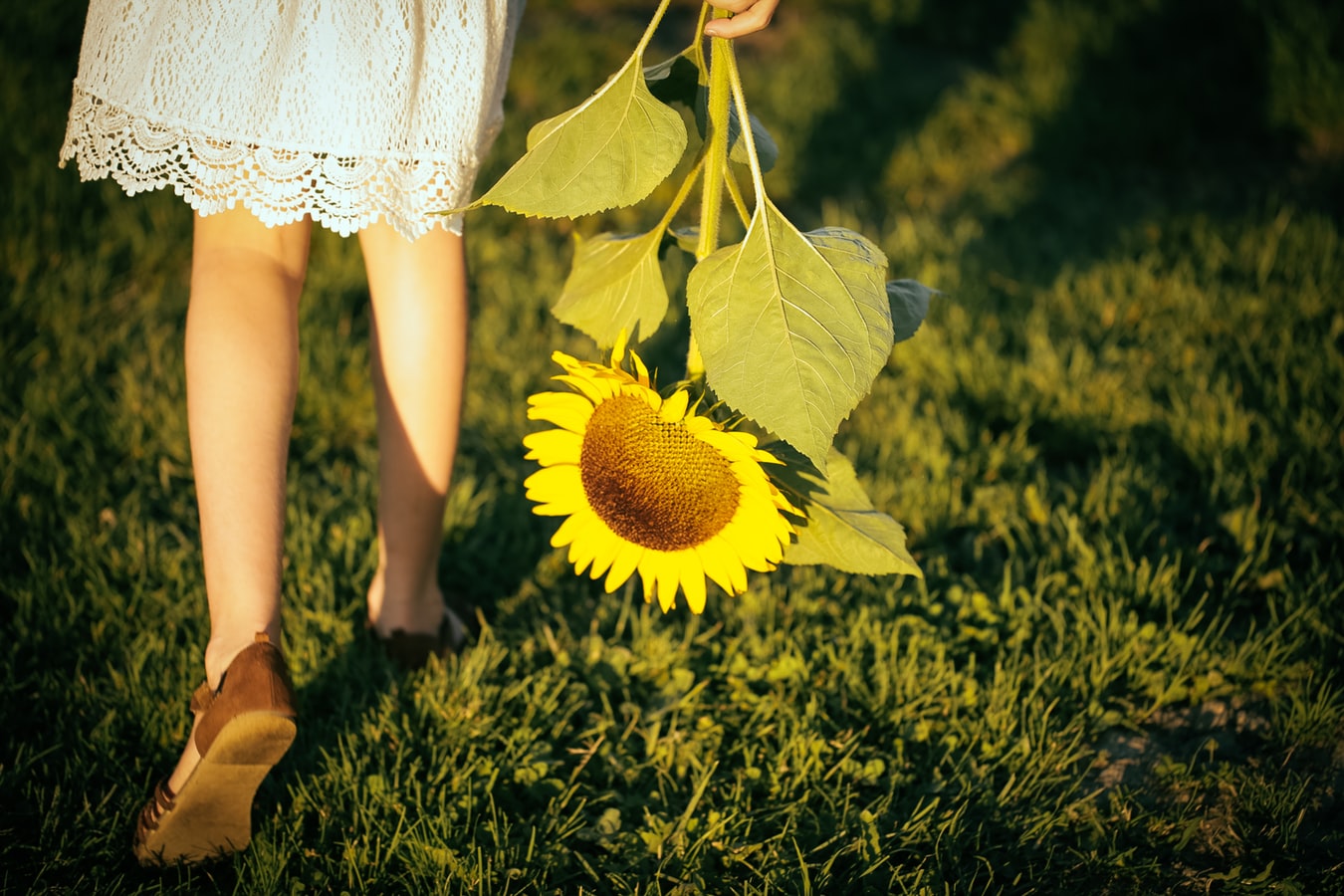 cliomakeup-prendersi-cura-gambe-3-girasole