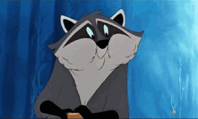 Cliomakeup-quanti-pasti-fare-al-giorno-20-gif