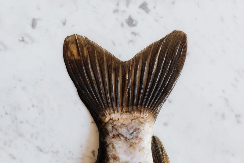 Cliomakeup-dieta-in-gravidanza-11-pesce