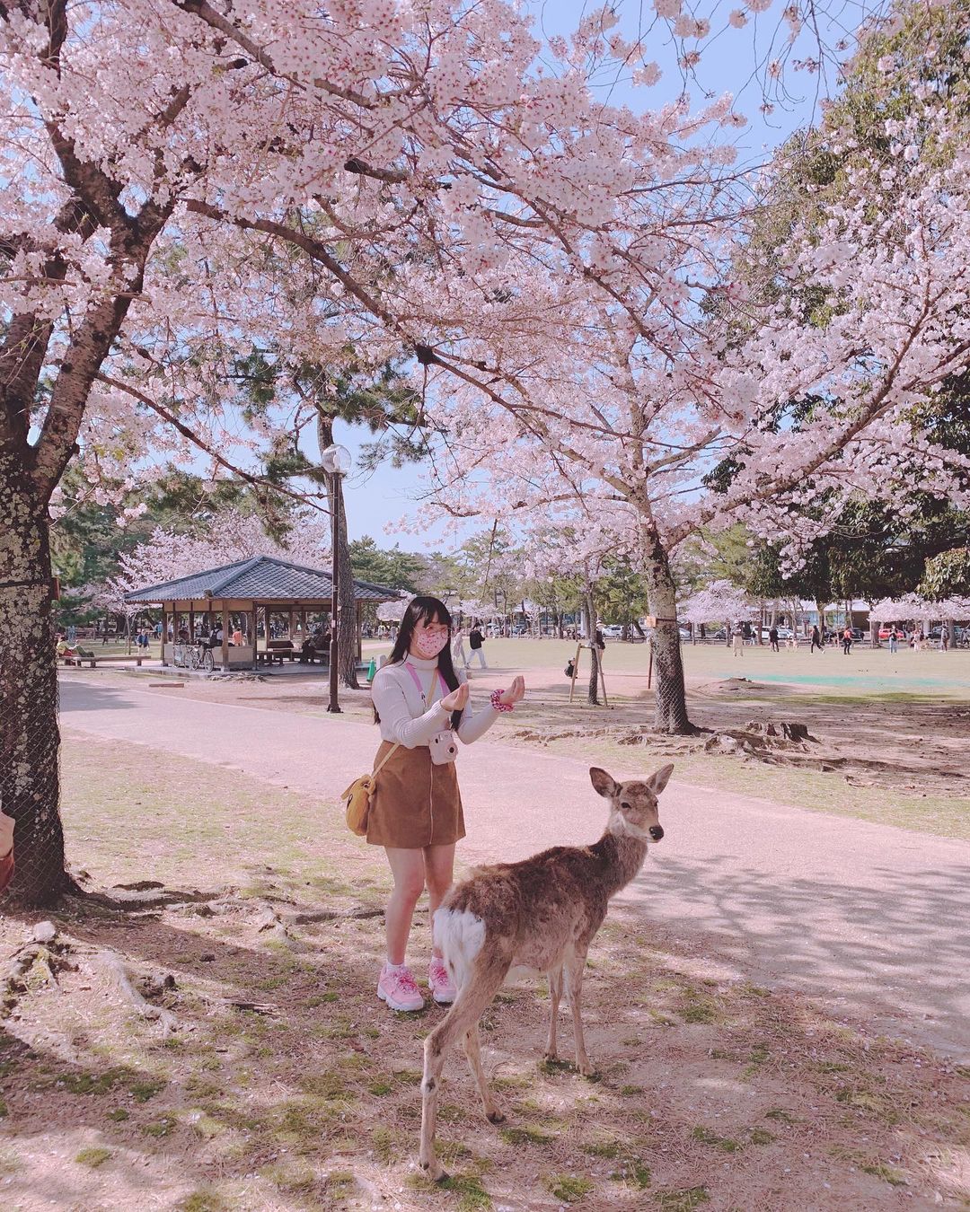 Cliomakeup-unghie-pink-sakura-giappone