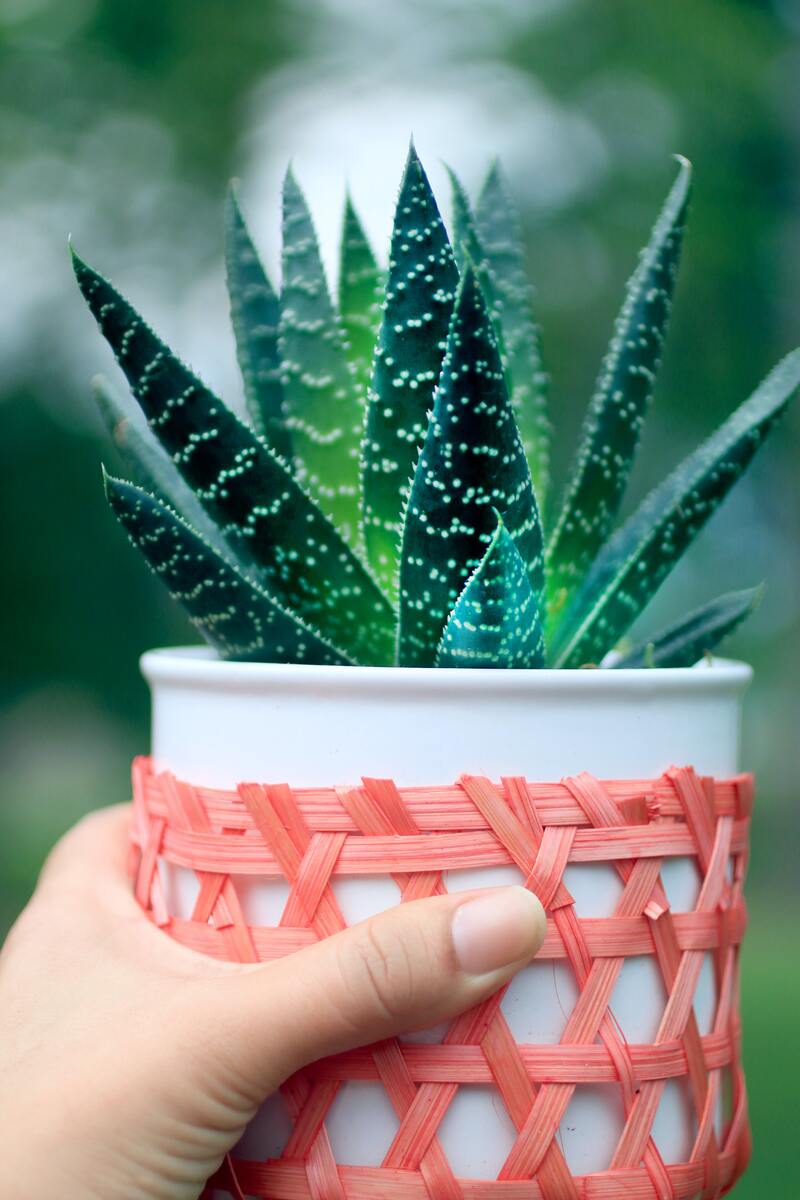 cliomakeup-acne-da-sole-aloe