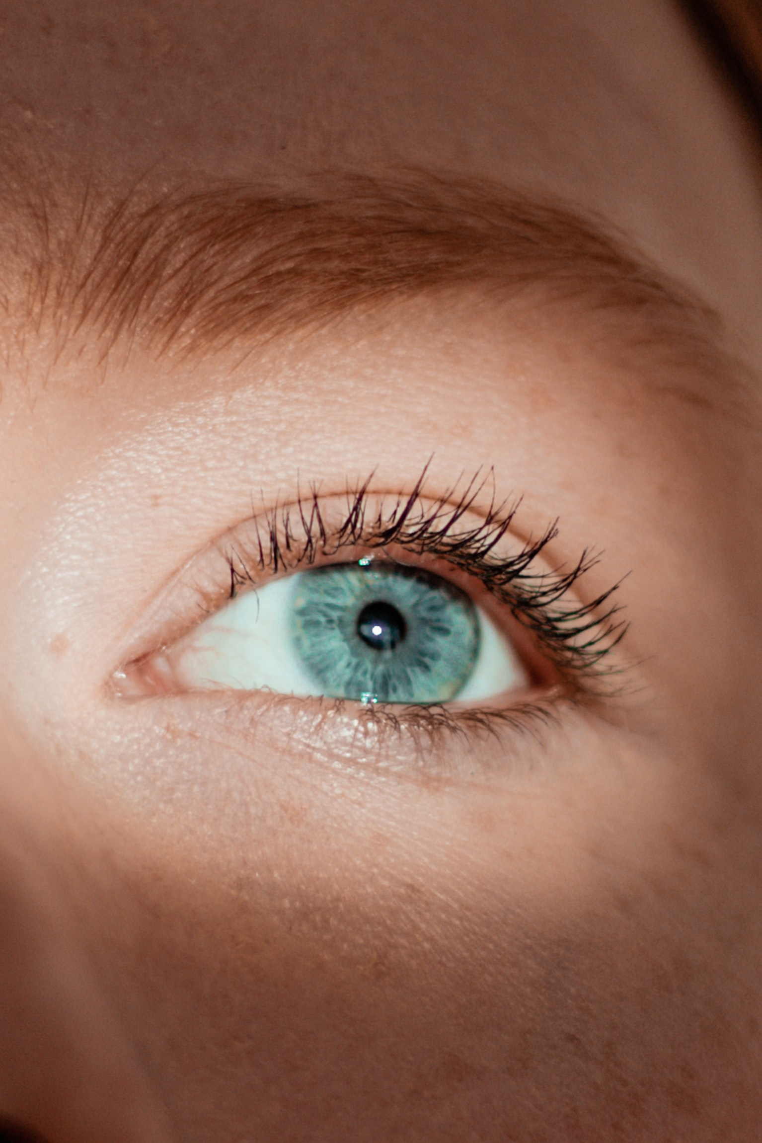 cliomakeup-come-schiarire-sopracciglia-7