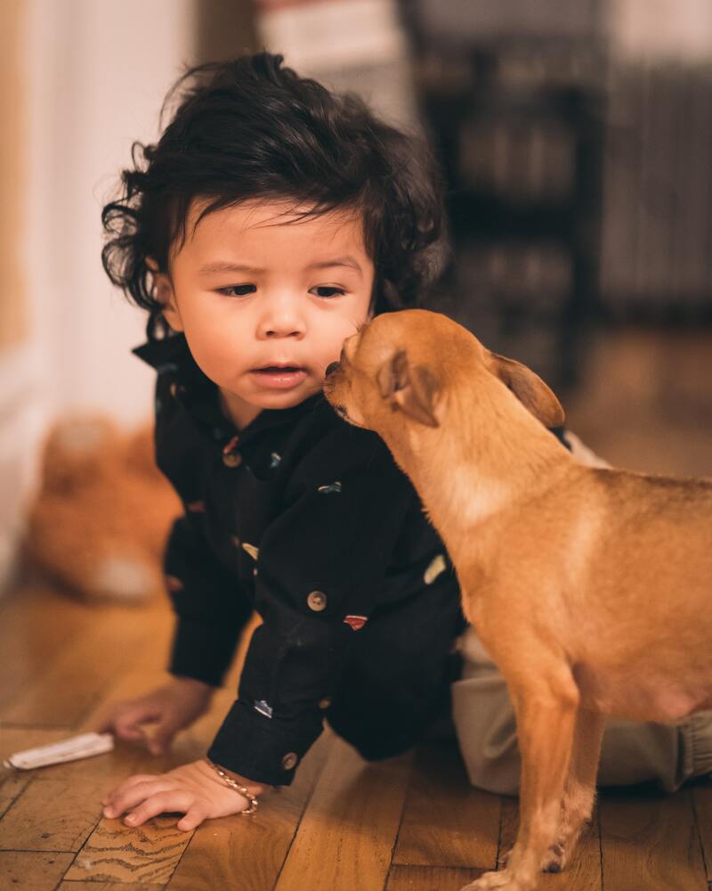 cliomakeup-animali-domestici-bambini-soli