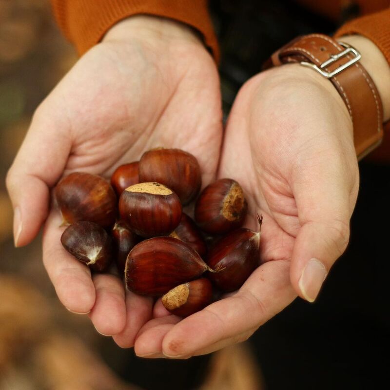 cliomakeup-weekend-bambini-settembre-2021-castagne