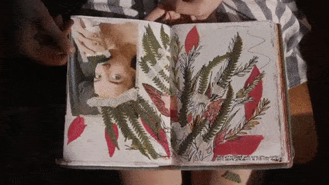 cliomakeup-journaling-saluti
