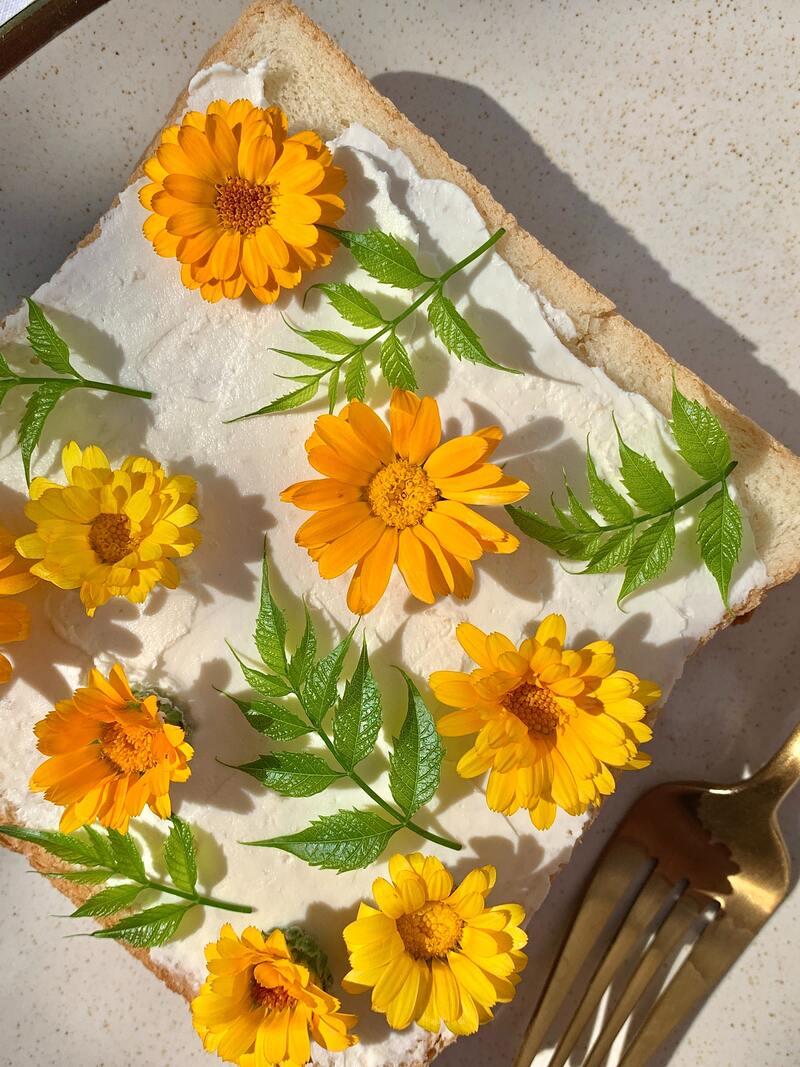 cliomakeup-oli-essenziali-calendula