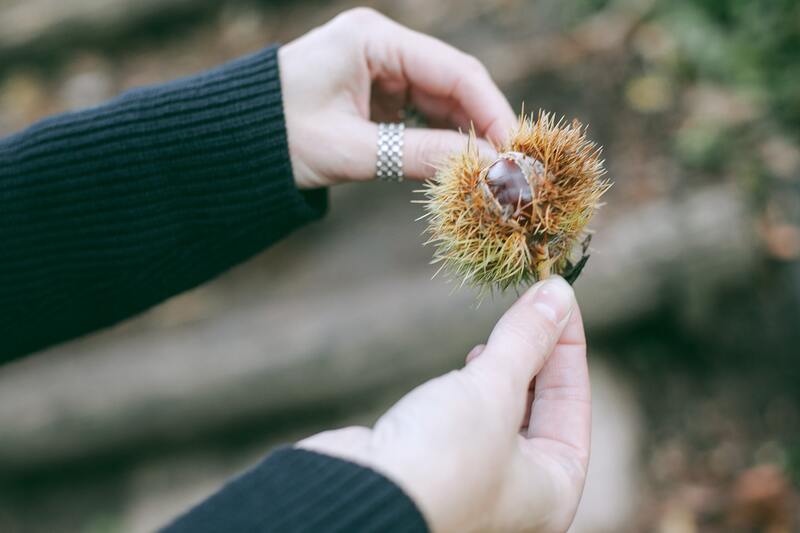 cliomakeup-passeggiate-castagne-bambini-ottobre