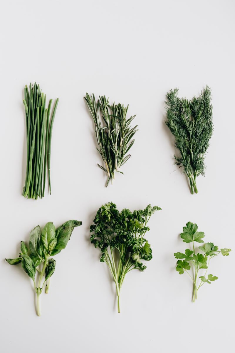 Cliomakeup-spezie-ed-erbe-aromatiche-6-alimentazione