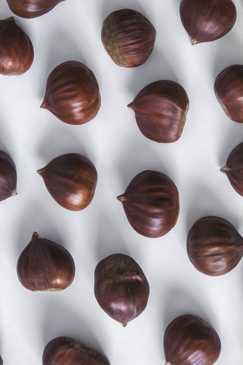 cliomakeup-castagne-fanno-ingrassare-1-alimentazione