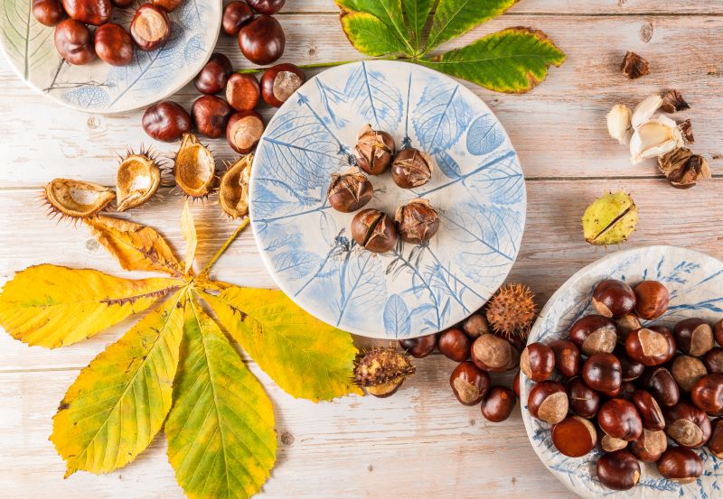cliomakeup-castagne-fanno-ingrassare-15-alimentazione.