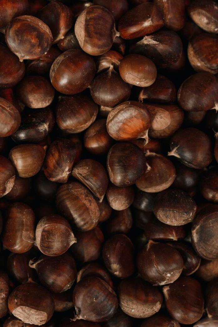 cliomakeup-castagne-fanno-ingrassare-2-alimentazione