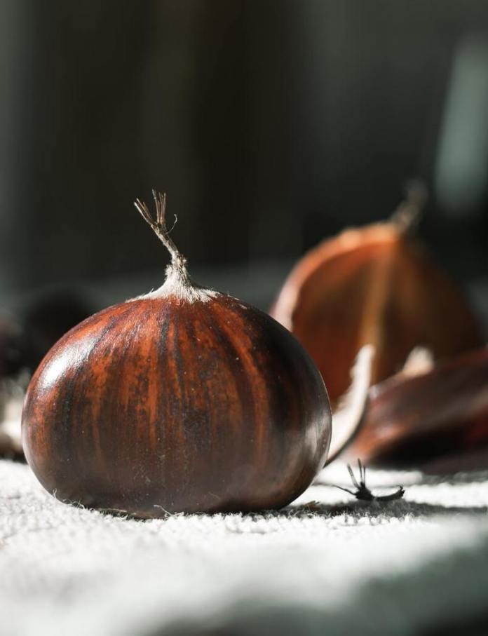 cliomakeup-castagne-fanno-ingrassare-3-alimentazione
