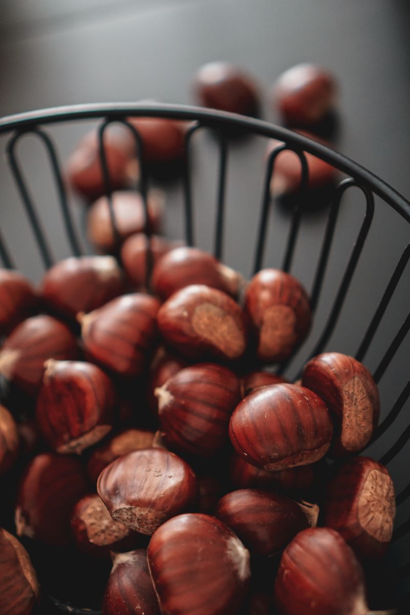 cliomakeup-castagne-fanno-ingrassare-7-alimentazione