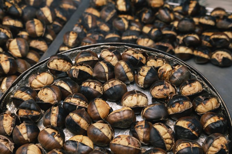 cliomakeup-castagne-fanno-ingrassare-8-alimentazione