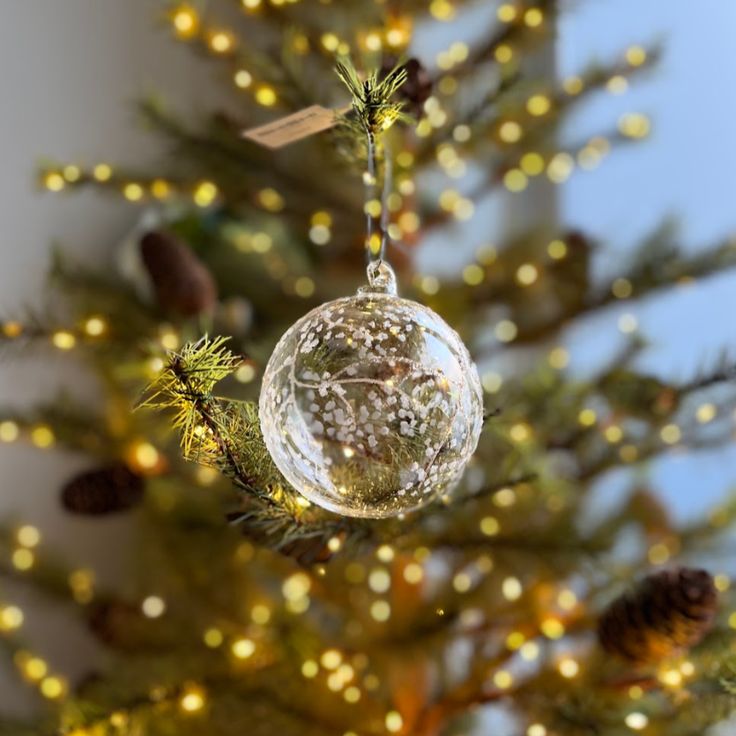 pallina-di-natale-fai-da-te-trasparente-disegno