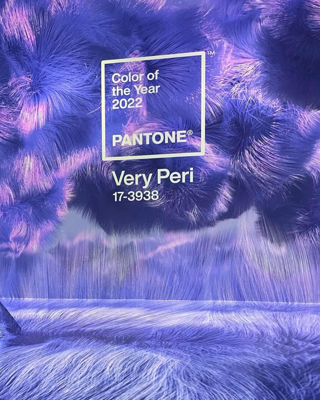 Cliomakeup-unghie-pantone-2022-very-peri-173938
