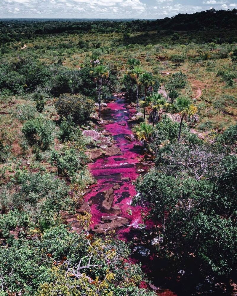 cliomakeup-viaggi-2022-cano-cristales-2