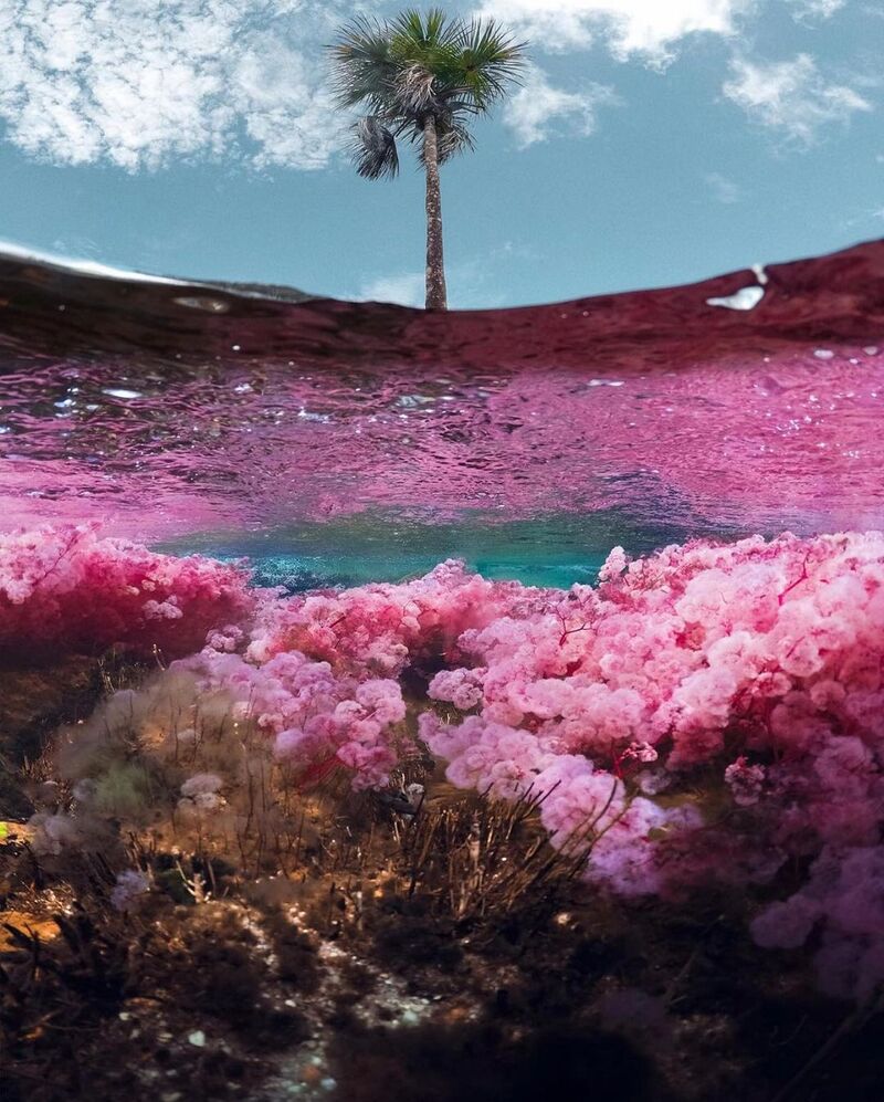 cliomakeup-viaggi-2022-cano-cristales