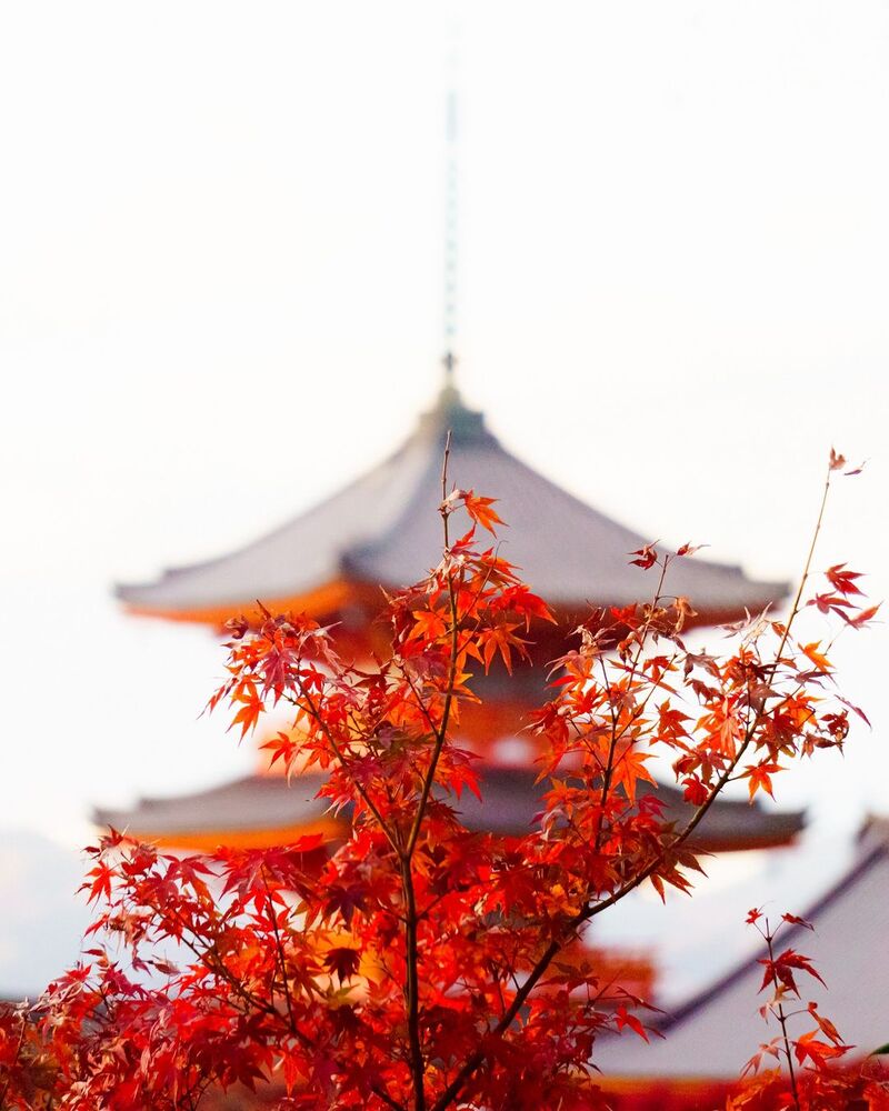 cliomakeup-viaggi-2022-foliage-giappone