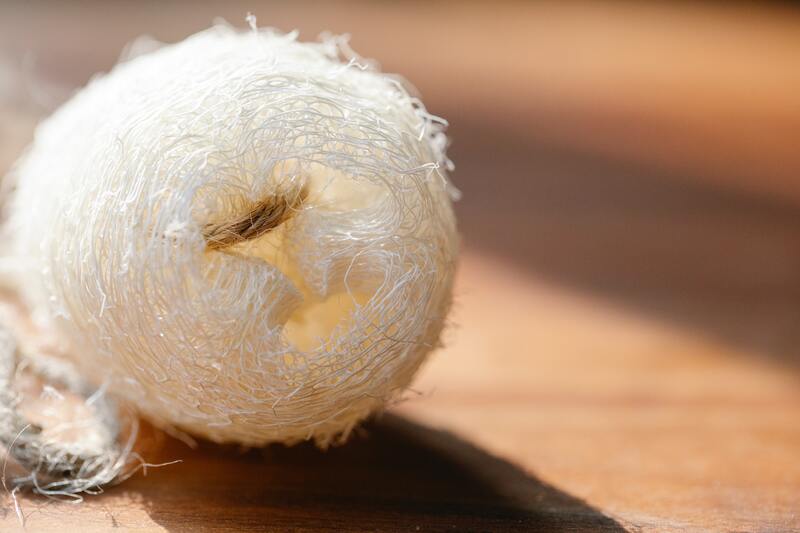 cliomakeup-spugna-di-luffa-delicata