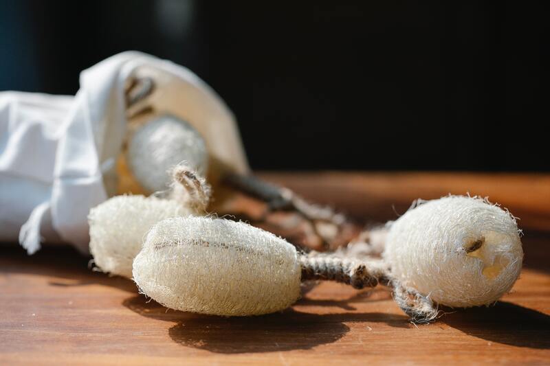 cliomakeup-spugna-di-luffa-tonda
