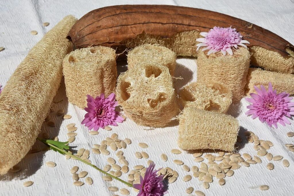 cliomakeup-spugna-di-luffa