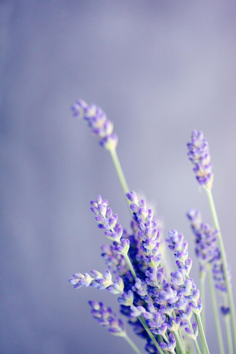 cliomakeup-aromaterapia-fiori