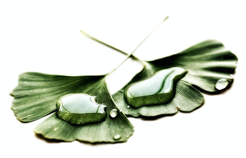 cliomakeup-aromaterapia-foglie