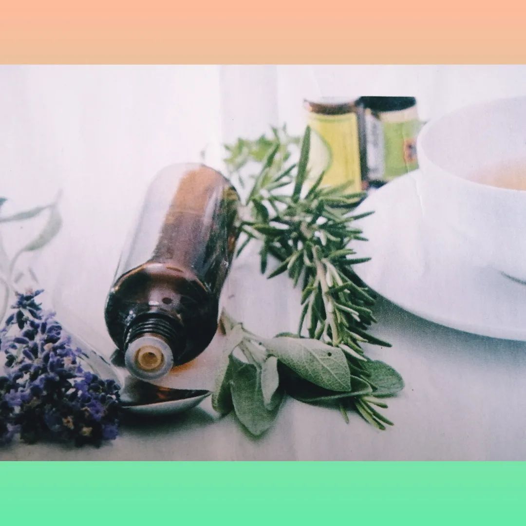 cliomakeup-olio-eucalipto-2