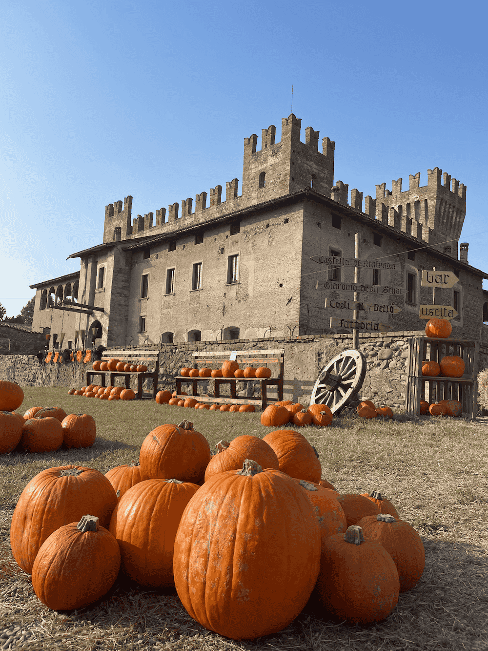castello-di-malpaga-hallowee-zucche