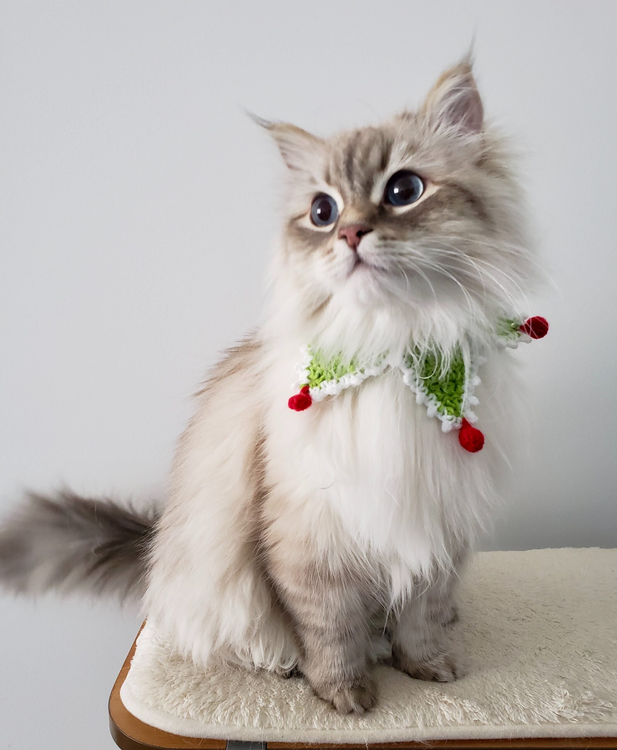 cliomakeup-albero-natale-gatto-2