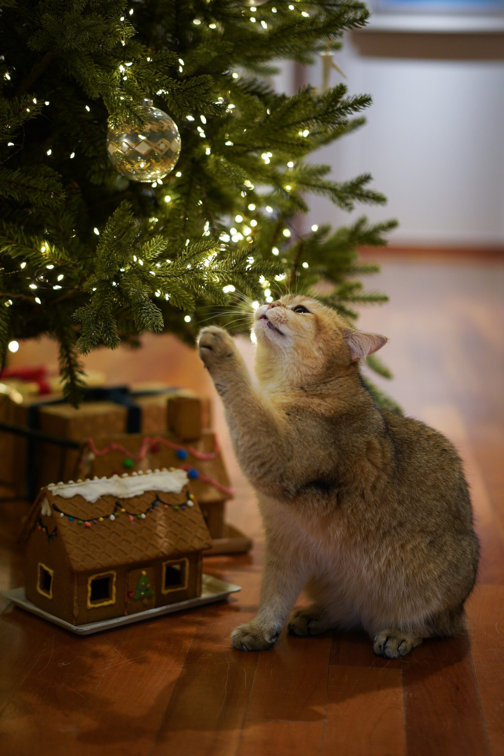cliomakeup-albero-natale-gatto-5
