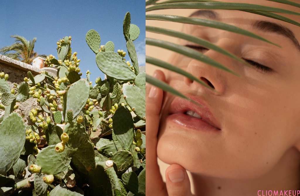 cliomakeup-olio-fico-d-india-proprieta-benefici-usi-cosmetici-3