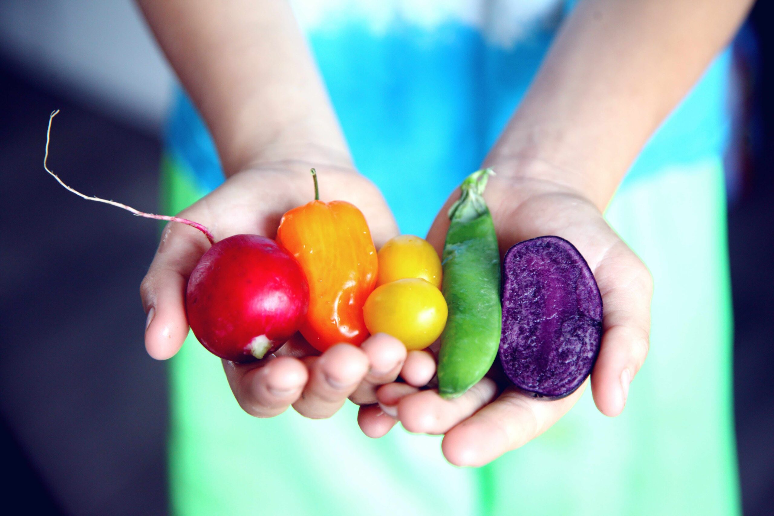 Cliomakeup-alimentazione-olistica