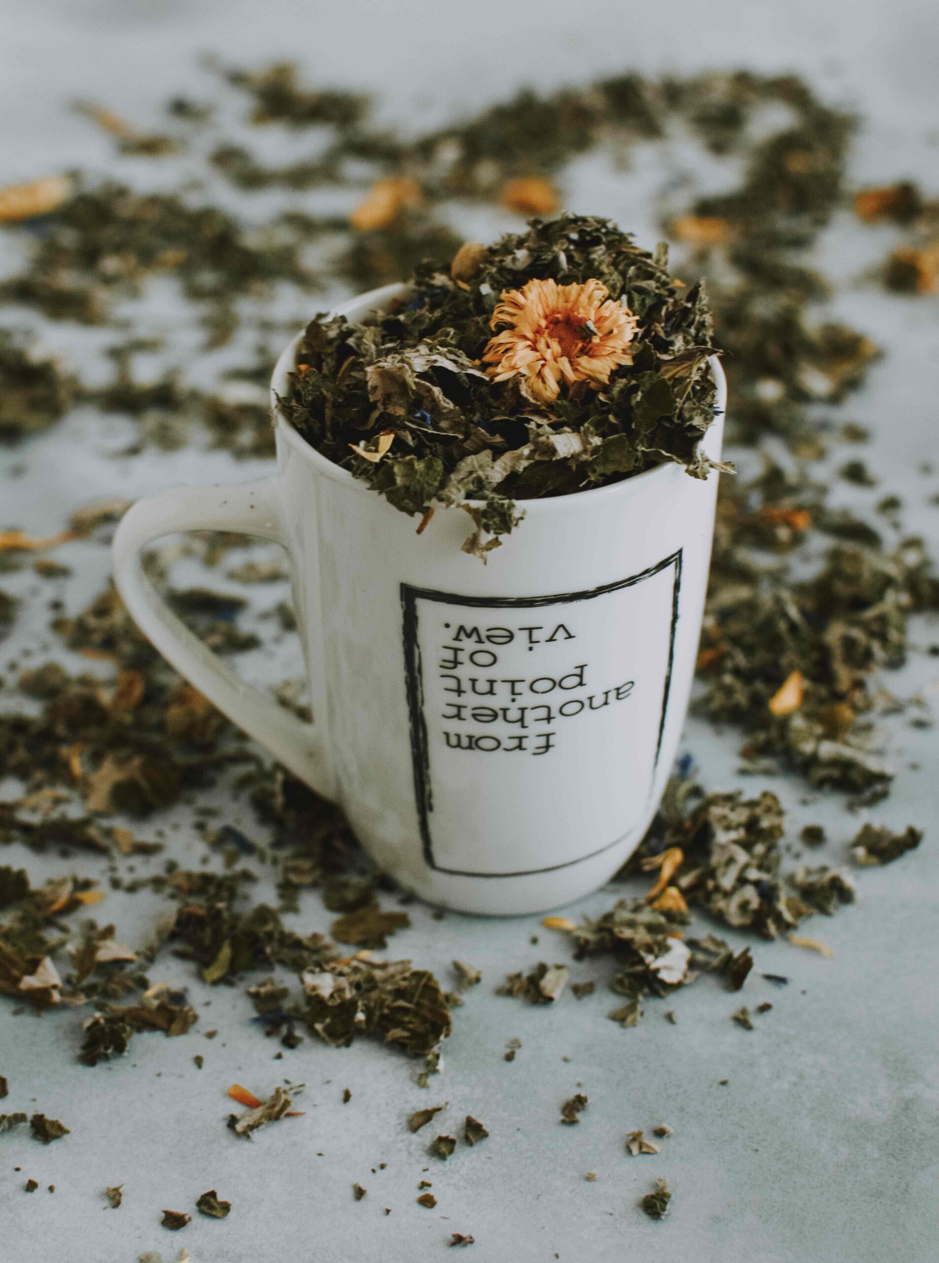 Cliomakeup-alimentazione-olistica-tisane