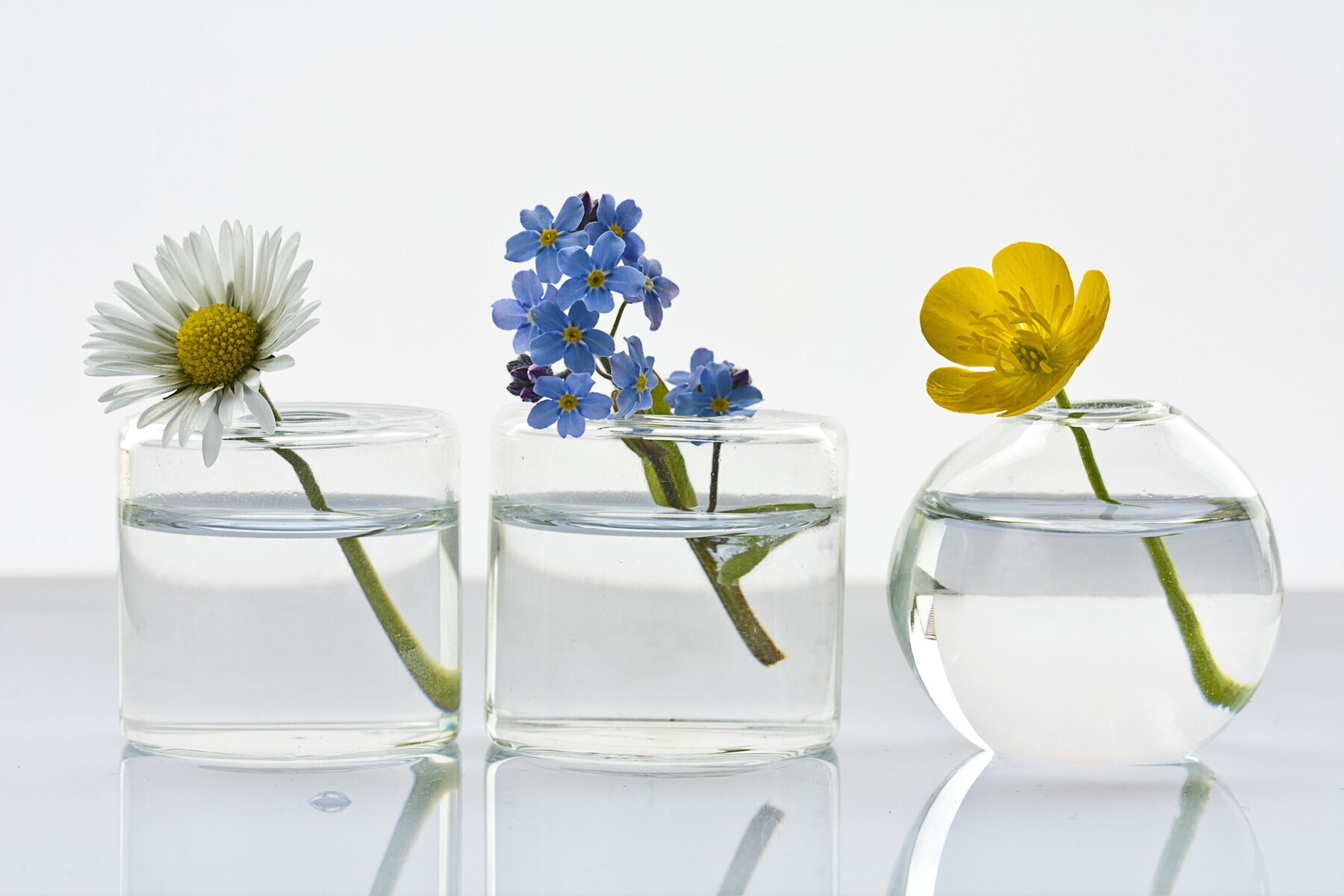 Cliomakeup-fiori-di-bach-come-agiscono