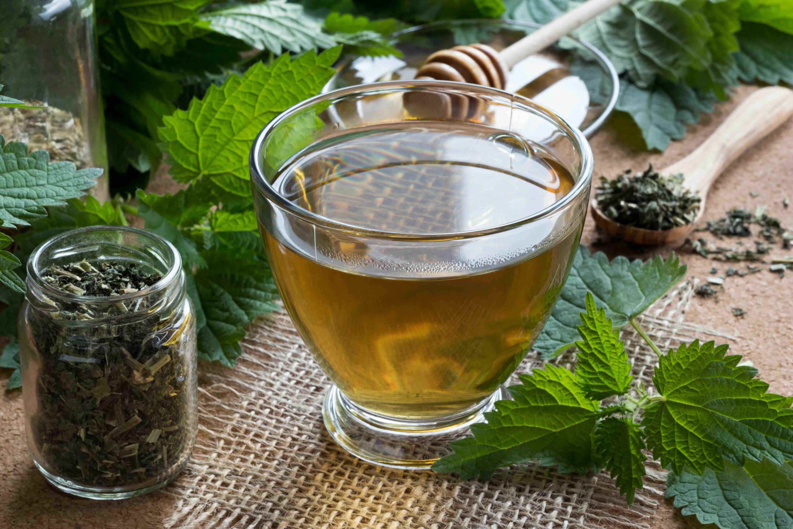 Cliomakeup-tisane-anti-gonfiore-tisana-ortica