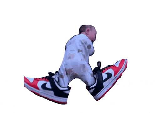 Sneakers-autunno2024-nude-leopardate-gif
