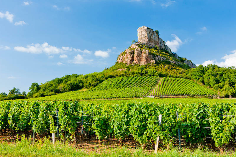 differenze-colori-bodeaux-borgogna-paesaggio