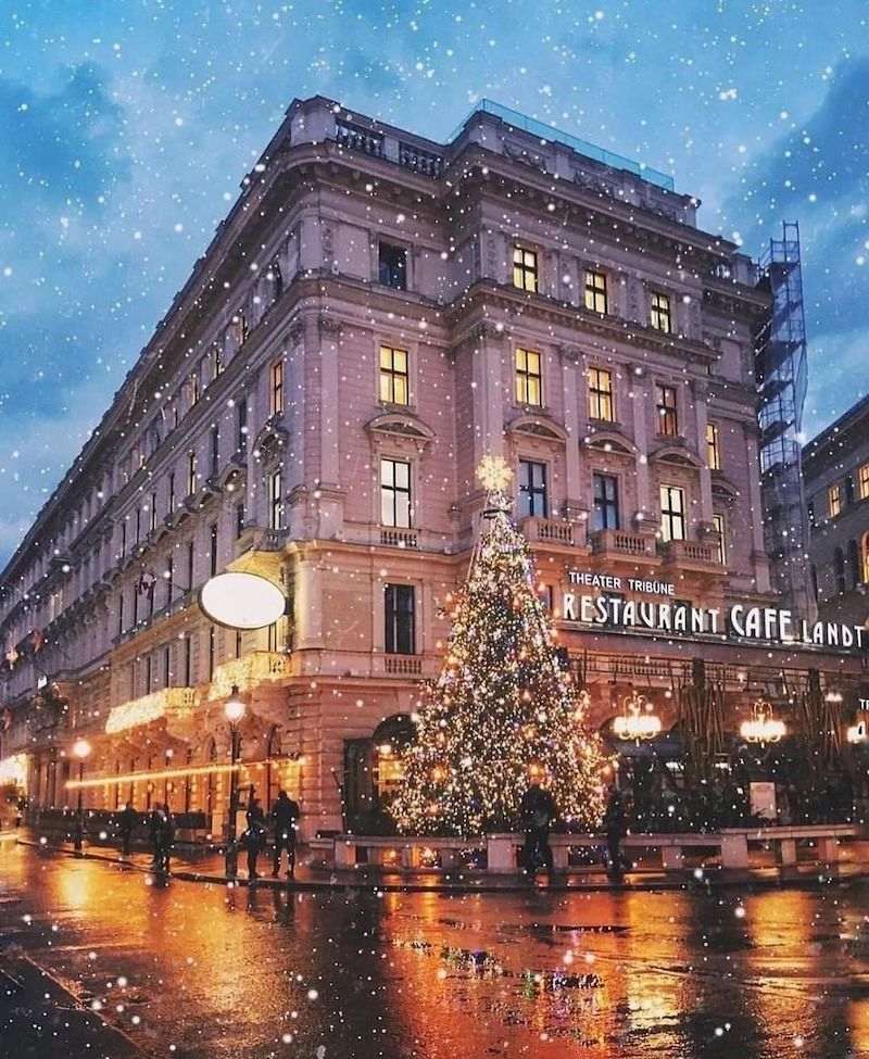 dove-mangiare-sacher-vienna-cafè-landtmann