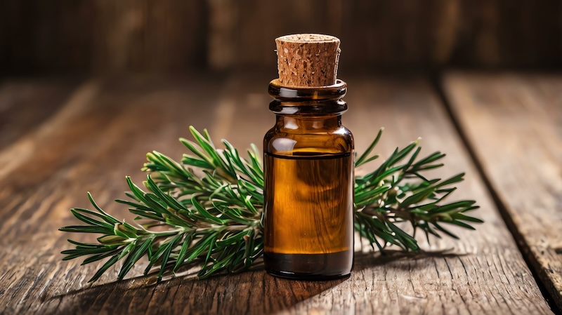 come-usare-mielle-rosemary-oil-olio-naturale