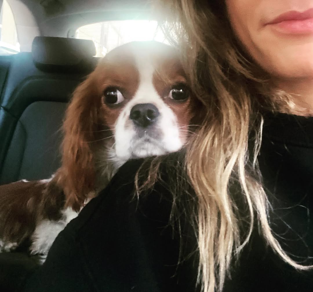 francesca-fagnani-cane